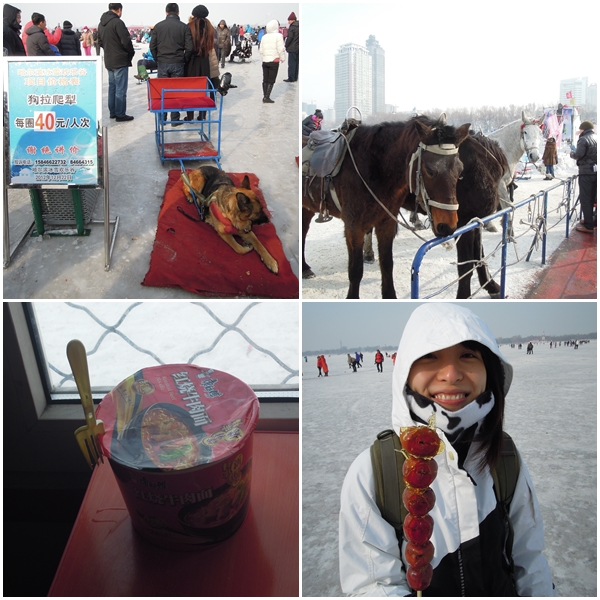 Harbin7 Harbin7