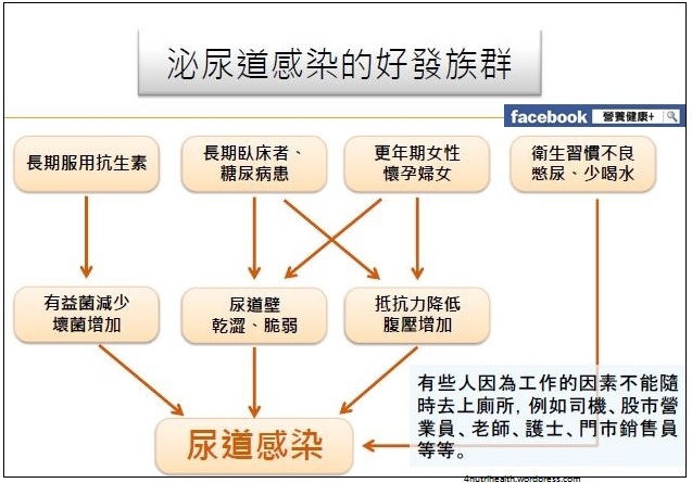 泌尿道感染