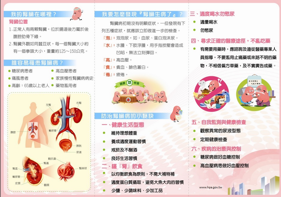 腎臟衛教01