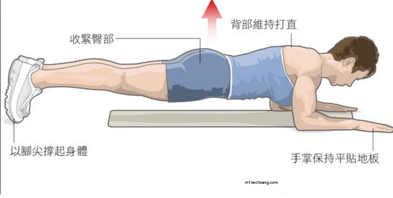 棒式運動02.jpg