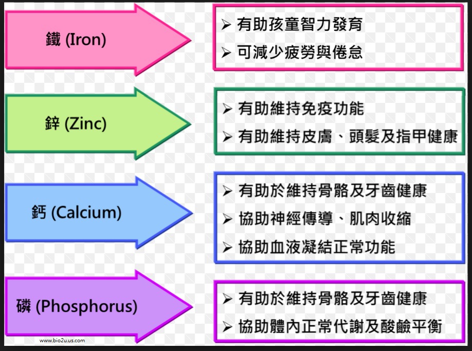 礦物質03.jpg