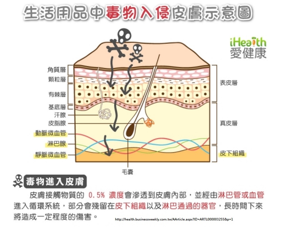 毒物入侵皮膚圖.jpg