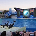 Sea World