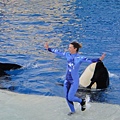 Sea World