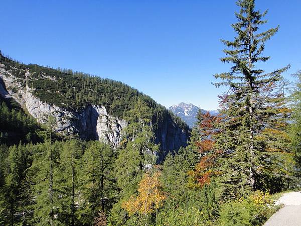 dachhstein