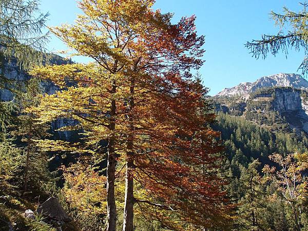 dachhstein