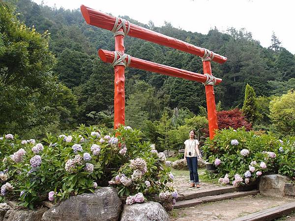 杉林溪: 藥花園