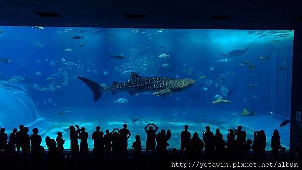 32160688_1625108034193151_7533213345436925952_n.jpg 32160688_1625108034193151_7533213345436925952_n.jpg