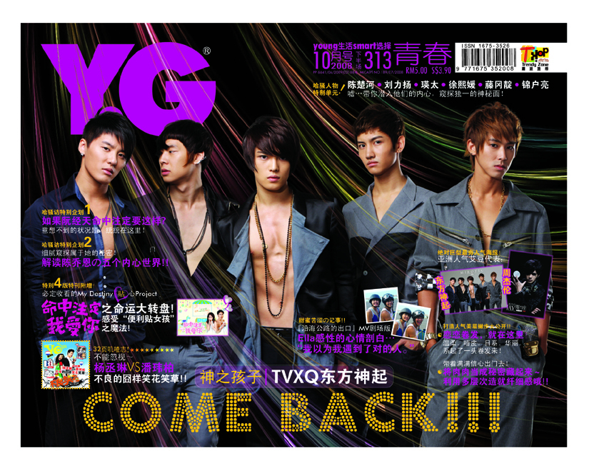 yg313cover.jpg