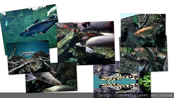 2012海生館2.jpg 2012海生館2.jpg