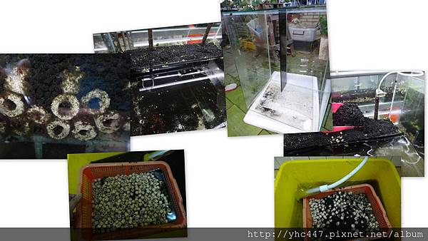 2015-07-08 2015-07-08
