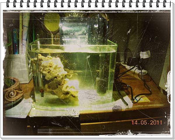 DSCN1111.JPG DSCN1111.JPG