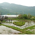 雨天的白石湖吊橋_019