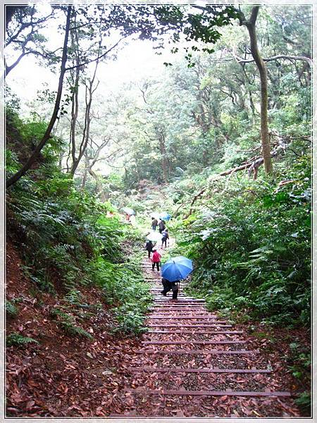 福源山步道_037