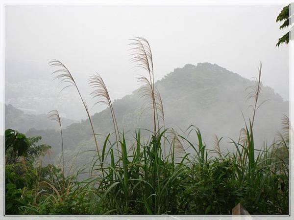 福源山步道_068