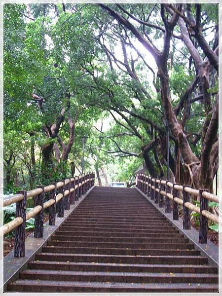 虎頭山南崁溪林蔭步道_030.jpg