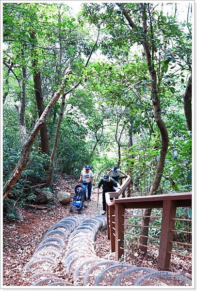 林口森林步道_010.JPG