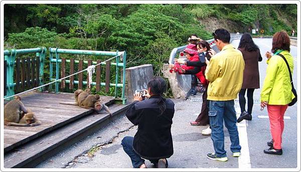 登仙橋休憩區-1_007.jpg