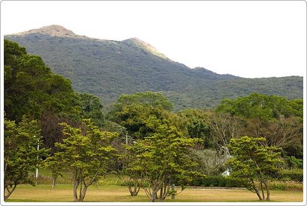 杜鵑茶花園_012.JPG