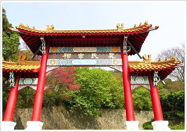 復興三路賞櫻_29.jpg 復興三路賞櫻_29.jpg