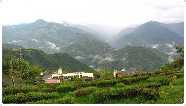 清境茶園步道-1_003.JPG