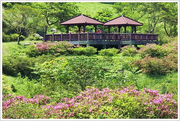 大屯自然公園_44.jpg 大屯自然公園_44.jpg
