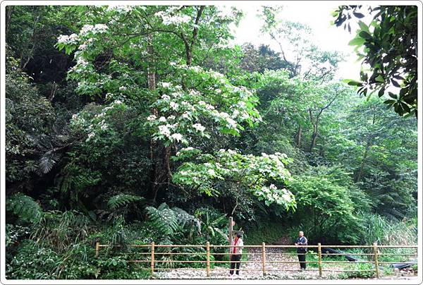 富民親水公園_0009.JPG