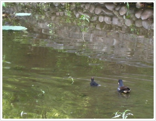 植物園_7388.jpg