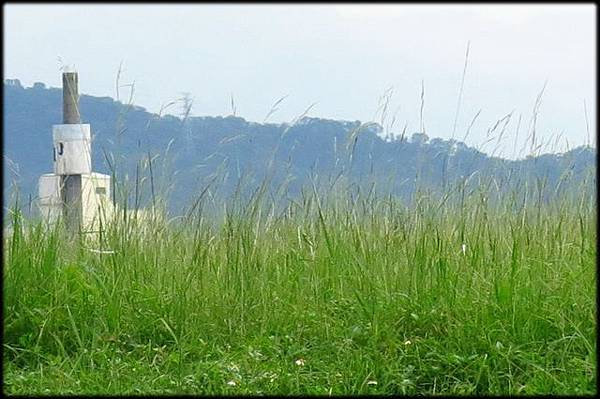 樹林鹿角溪人工溼地_06.JPG