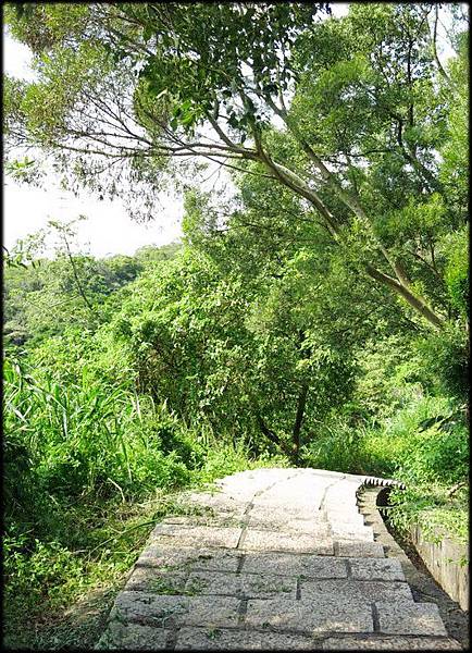 金獅步道_038.jpg 金獅步道_038.jpg