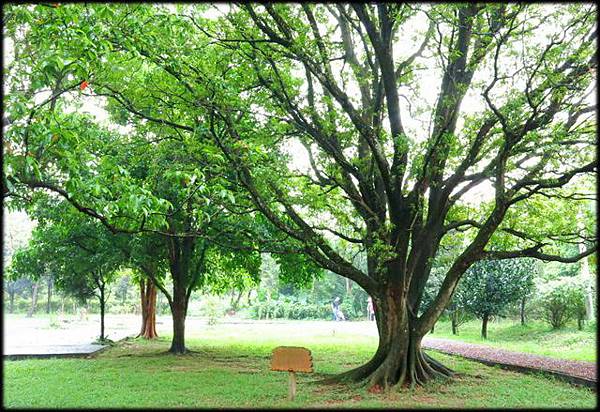 西勢公園午茶時間_40