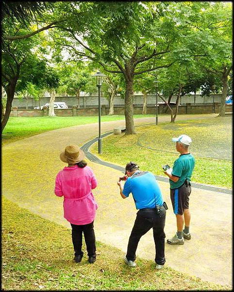 大溪埔頂公園_80.jpg