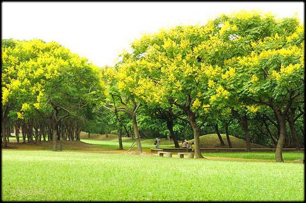 大溪埔頂公園_82.jpg 大溪埔頂公園_82.jpg