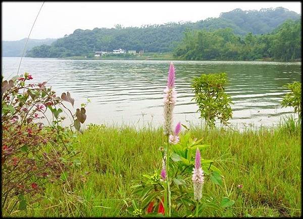 明德水庫明湖蘇堤_107.jpg 明德水庫明湖蘇堤_107.jpg