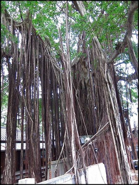 台中文學公園_4088.JPG