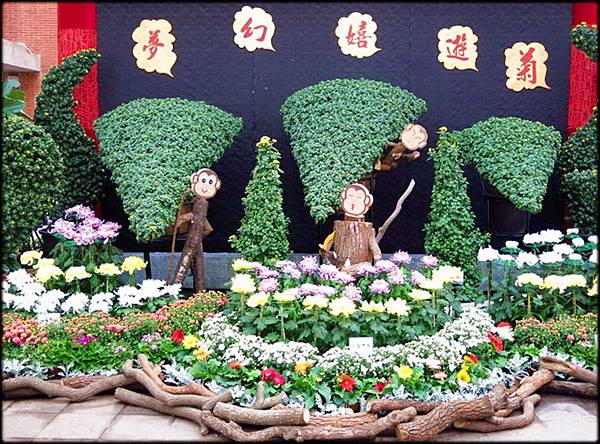 2015戲遊秋菊_241.jpg 2015戲遊秋菊_241.jpg