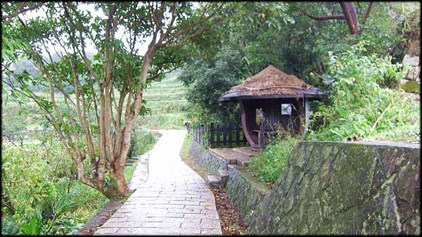 樟樹步道-1_045.jpg