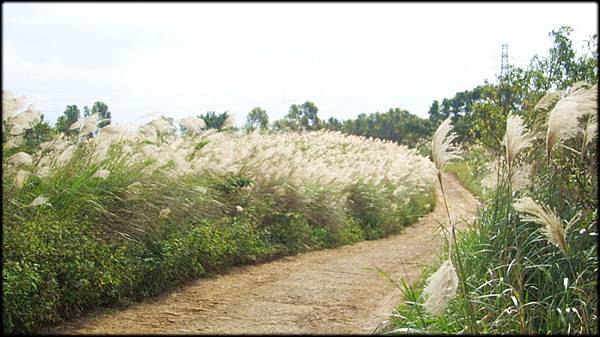 新路土亢山步道-1_006.jpg