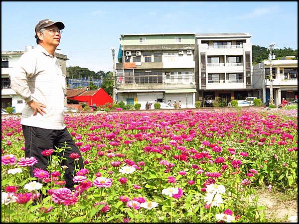 蘆竹海山路花海_28.JPG