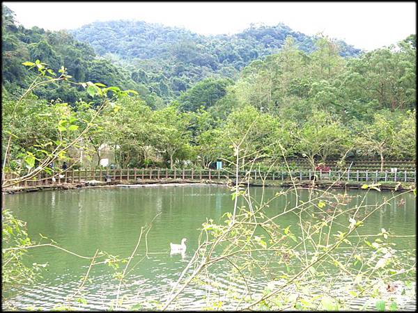 暖東苗圃_032.jpg 暖東苗圃_032.jpg