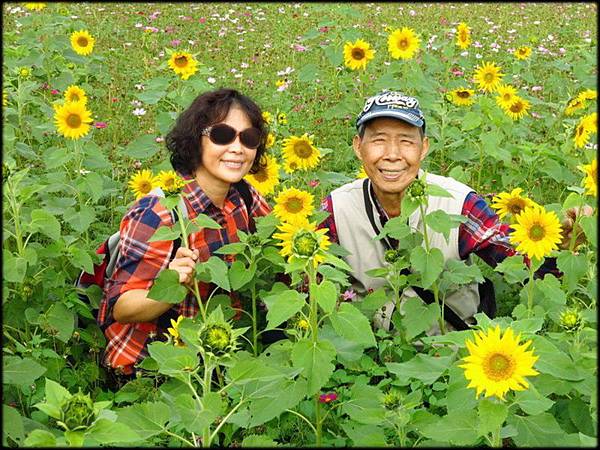 風尾土亢賞花海_062.jpg