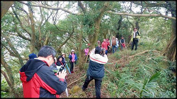 石灰土亢山稜線步道_手機032.jpg