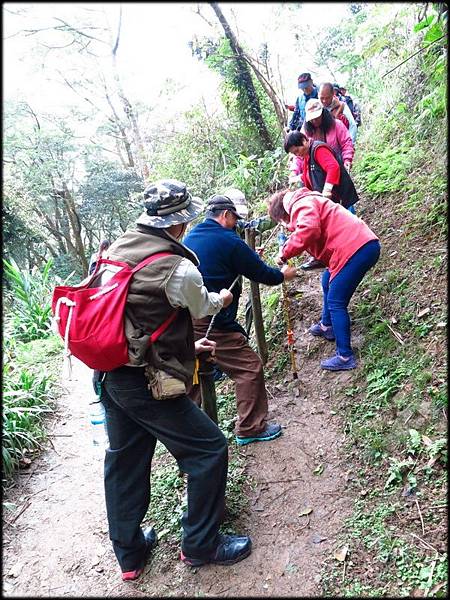 石灰土亢山稜線步道_041.JPG