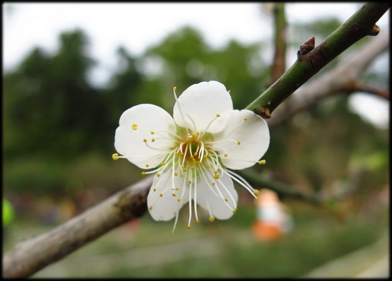 樂活熊城市嘉年華_094.jpg