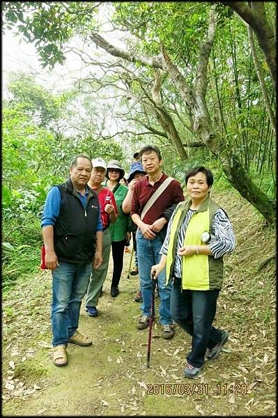 4腳亭砲台登山步道_22.jpg