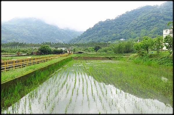 軟橋休閒步道_151.jpg