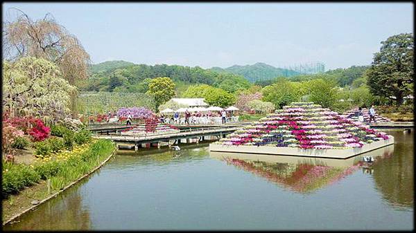 足利紫藤花卉公園(8) -09.jpg