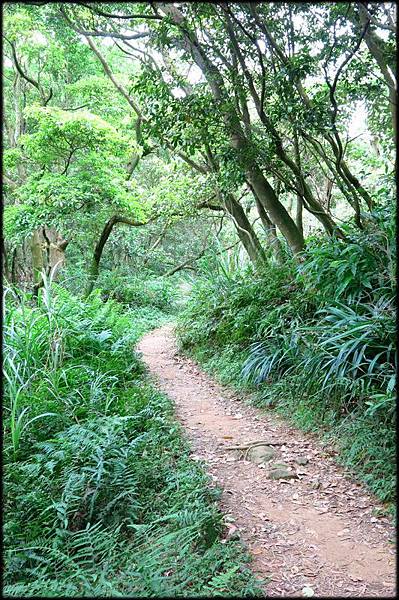 得安宮步道_32.jpg