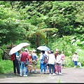 平湖森林步道-1_001.jpg