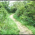 平湖森林步道-1_018.jpg